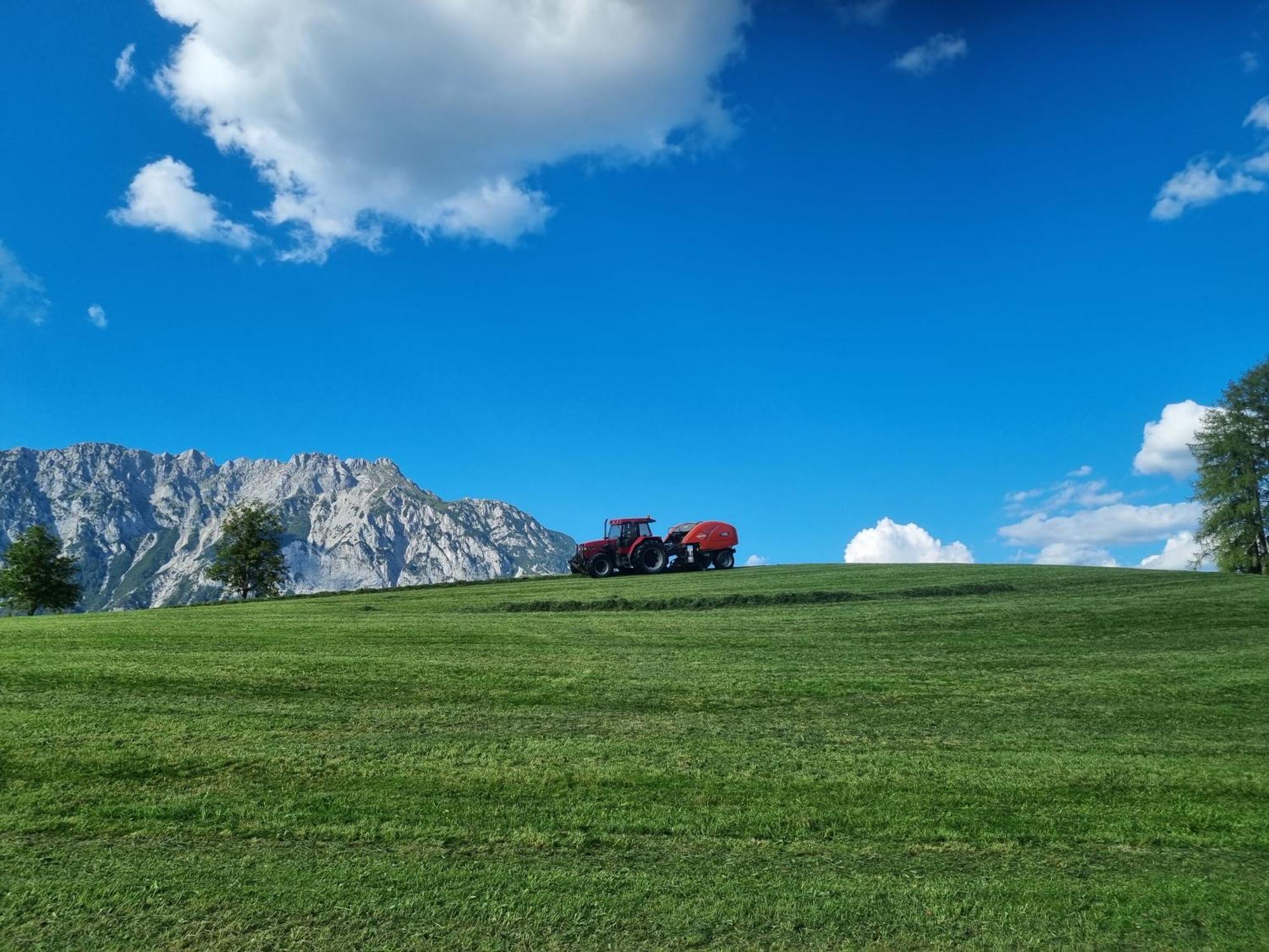 Kulmerhof - Farm Διαμέρισμα Pruggern Εξωτερικό φωτογραφία