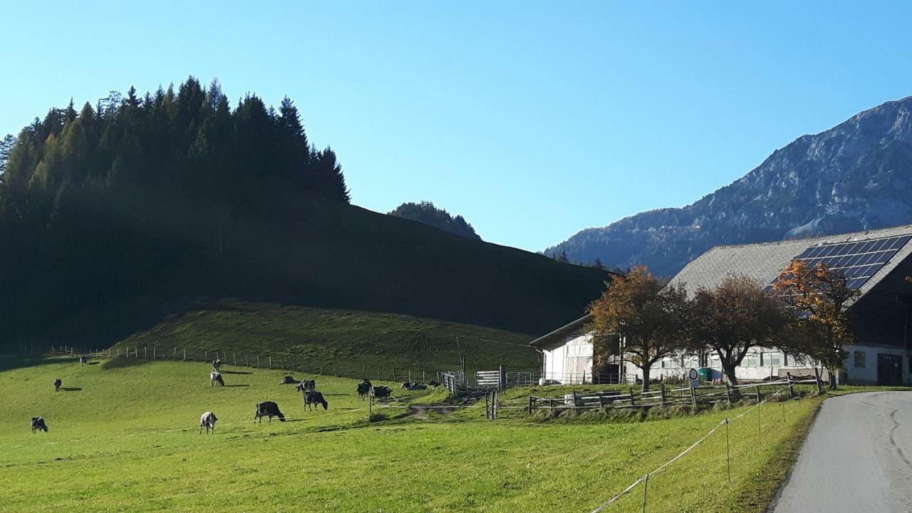 Kulmerhof - Farm Διαμέρισμα Pruggern Εξωτερικό φωτογραφία